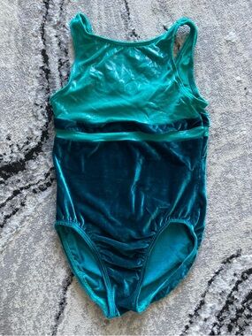 Shimmery Teal & Deep Teal Velvet Leotard